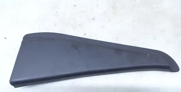 Other rear door trim element