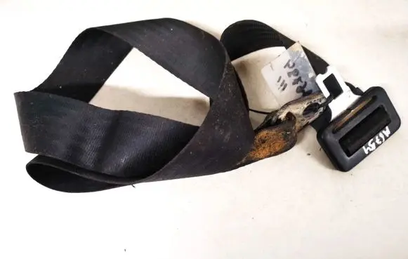 Middle seatbelt buckle (rear)