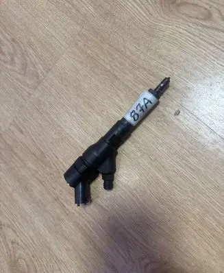 Citroen Jumper Fuel injector 0445110076