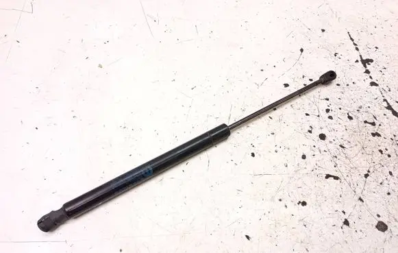 Tailgate/trunk strut/damper
