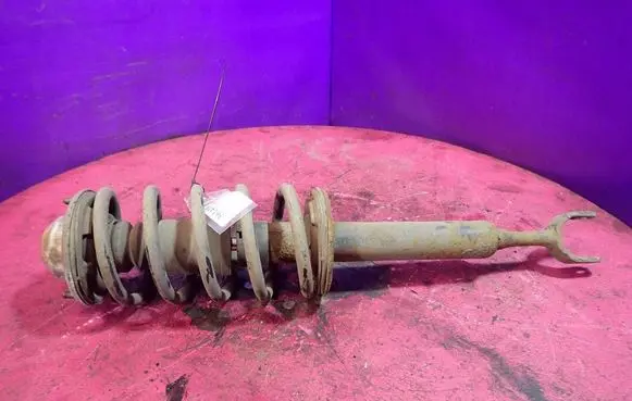 Volkswagen PASSAT B5.5 Front shock absorber with coil spring