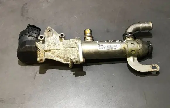 EGR valve cooler