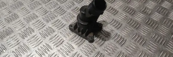 Thermostat/thermostat housing