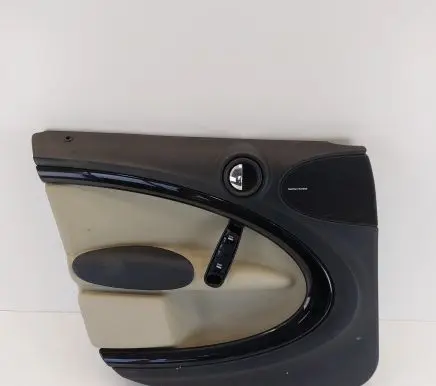Mini Cooper Countryman R60 Front door card panel trim 9800003