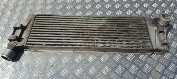 Renault Megane II Intercooler radiator 160132153F 0002117
