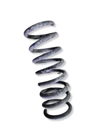 Peugeot Partner III Rear coil spring 5336