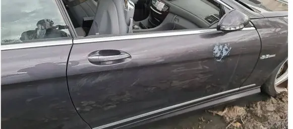 Mercedes-Benz S W221 Door (2 Door Coupe) 