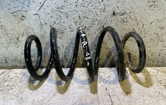Rear coil spring