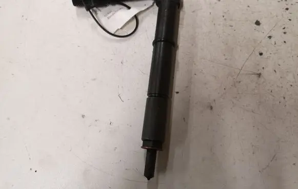 Nissan Almera N16 Fuel injector 484391