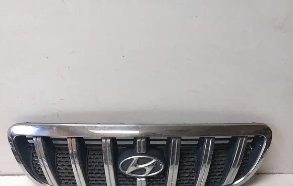 Hyundai Terracan Front grill 