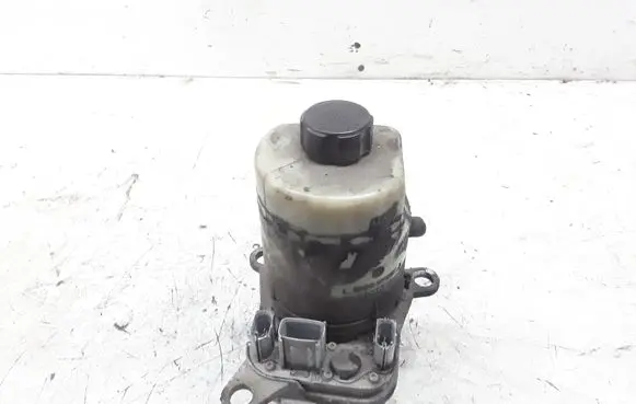 Electric power steering pump