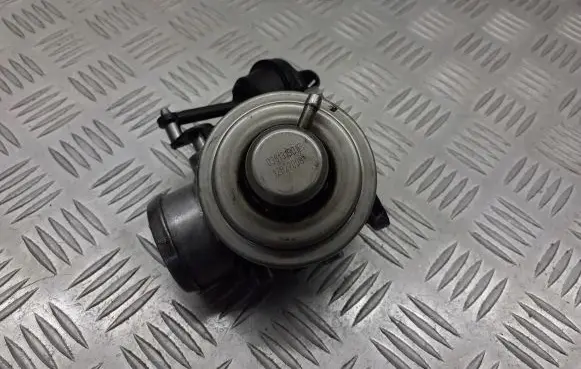 Seat Toledo II (1M) EGR valve