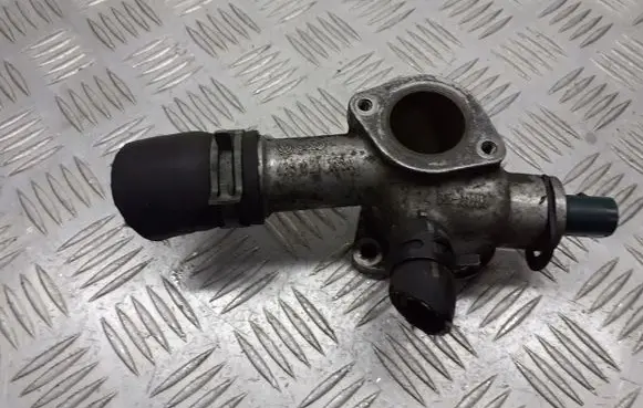 Thermostat/thermostat housing