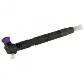 Hyundai i20 (PB PBT) Fuel injector EMBR00203D HRD357