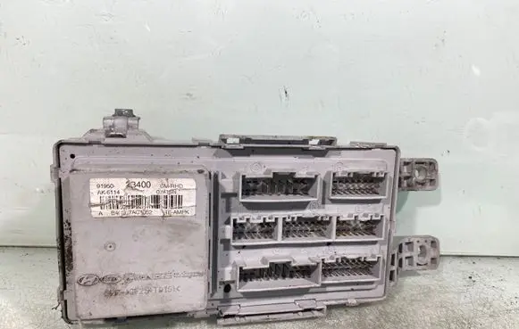 Hyundai Santa Fe Fuse box set 919502b400