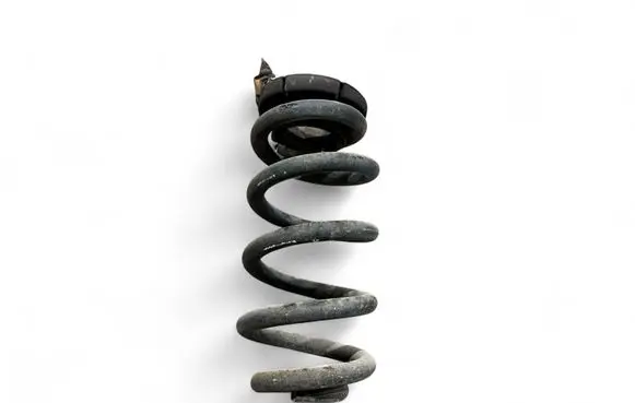 Rear coil spring