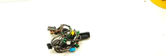 Volkswagen PASSAT B8 Front door wiring loom 3G2971120H