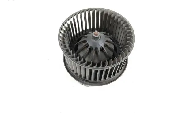 Heater fan/blower