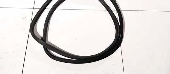 Volkswagen Touareg I Rubber seal front coupe door 