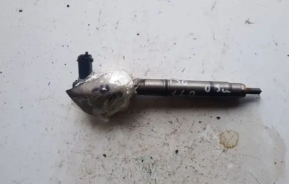 Hyundai i30 Fuel injector 0445110320