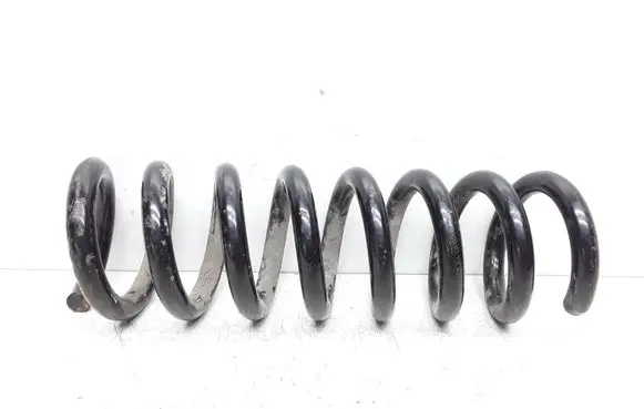 Rear coil spring