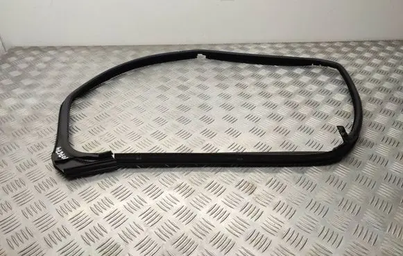 Renault Trafic III (X82) Rubber seal front coupe door 