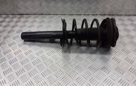 Peugeot 206 Front shock absorber with coil spring