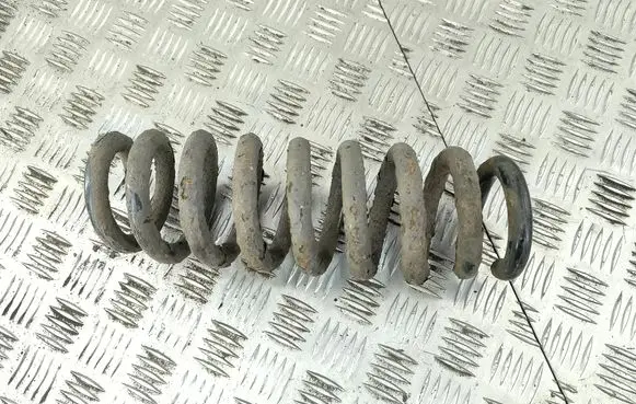 Rear coil spring