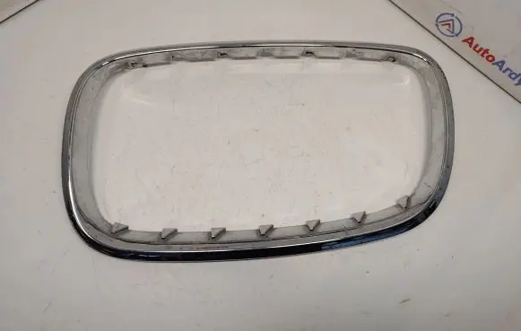 BMW X5 E70 Front grill 51137157687