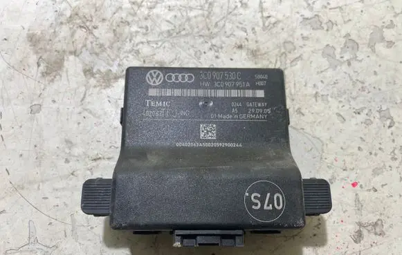Volkswagen PASSAT B6 Gateway control module 3C0907530C