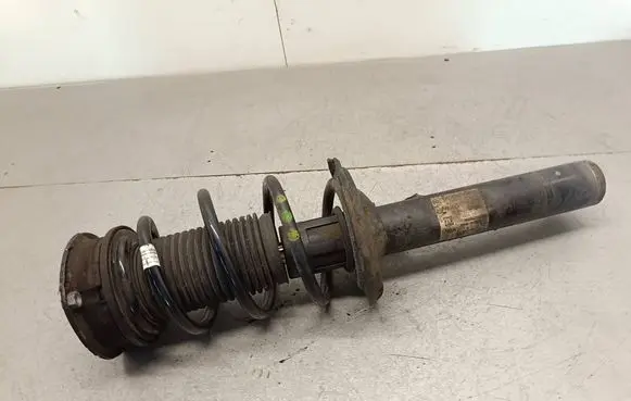 Front shock absorber with coil spring