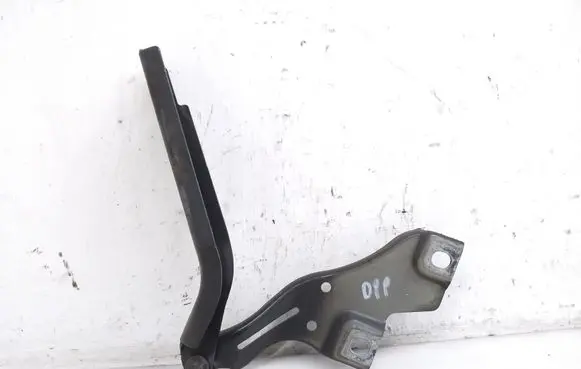Volkswagen PASSAT B8 Engine bonnet/hood hinges 3G0823302