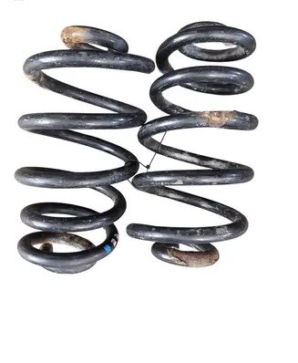 Rear coil spring