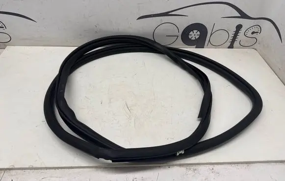 Toyota C-HR II Rubber seal rear door 