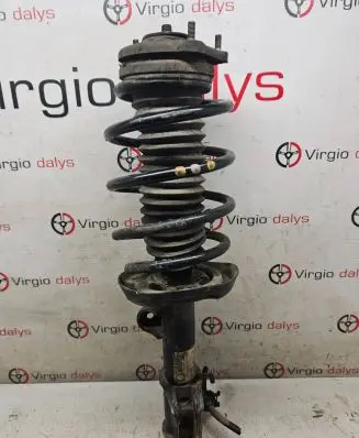 Fiat Doblo Front shock absorber with coil spring 51819145 824903007916