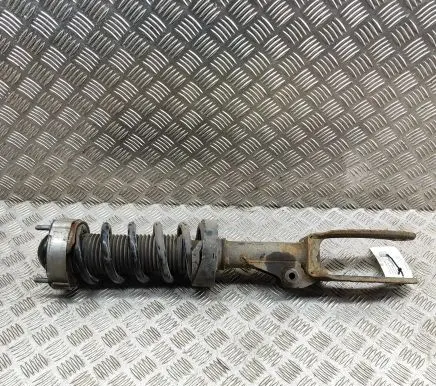 Porsche Cayenne (92A) Front shock absorber/damper 95834304401