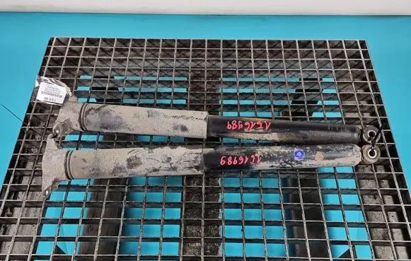 Ford Kuga II Rear shock absorber/damper IMPRK1516989