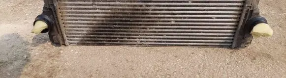 Volkswagen Crafter Intercooler radiator A9065010201 2E0145804A