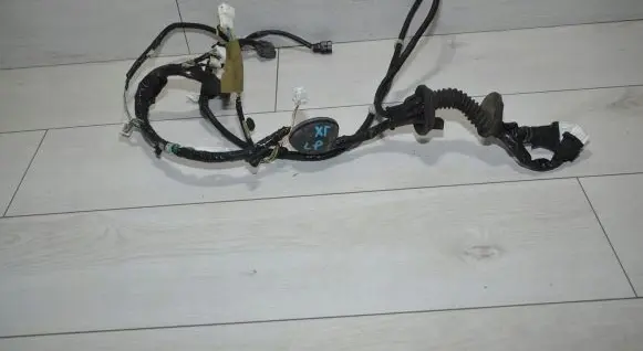 Front door wiring loom
