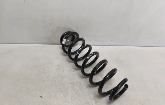 Rear coil spring