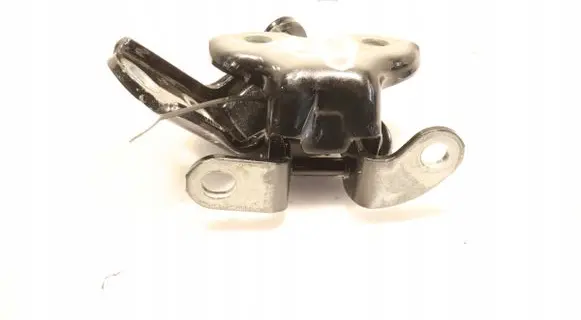 Lexus NX Rear door hinge set 