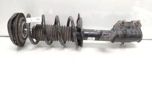 Ford Mustang Mach-E Front shock absorber with coil spring LJ9C18045EAC Lj9c5310eaa