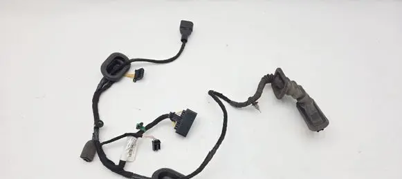 Volkswagen Touran II Front door wiring loom 110971693EK