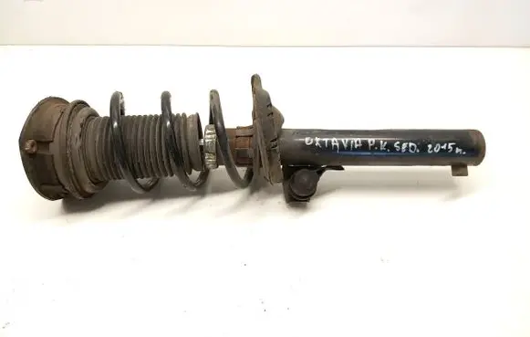 Front shock absorber with coil spring