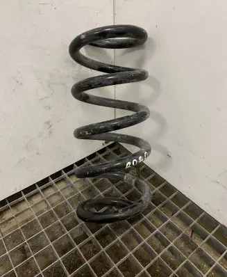Ford Mustang VI Rear coil spring JR3C5560KA