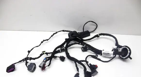 Front door wiring loom