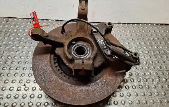 Renault Twingo II Front wheel hub spindle knuckle S25056334 8200663586