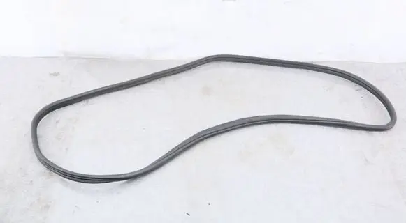 BMW X5 E70 Rubber seal front coupe door 7220381 51767220381