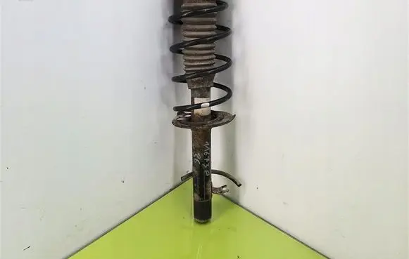 Peugeot 1007 Front shock absorber with coil spring