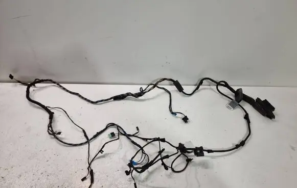 BMW 7 F01 F02 F03 F04 Front door wiring loom 9197633 27112008 L6T01